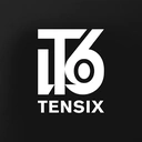 TENSIX Swiss Logo